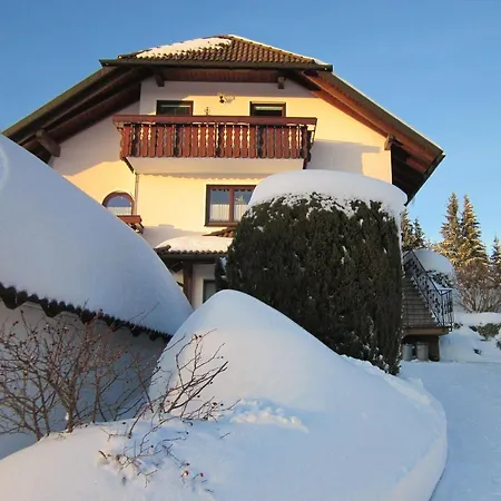 Ferienwohnung Haus Finkbeiner Kniebis Exterior photo