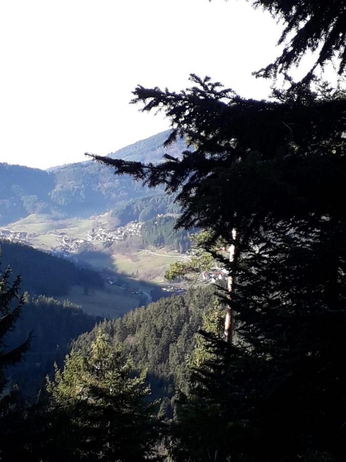 Haus Finkbeiner * Kniebis