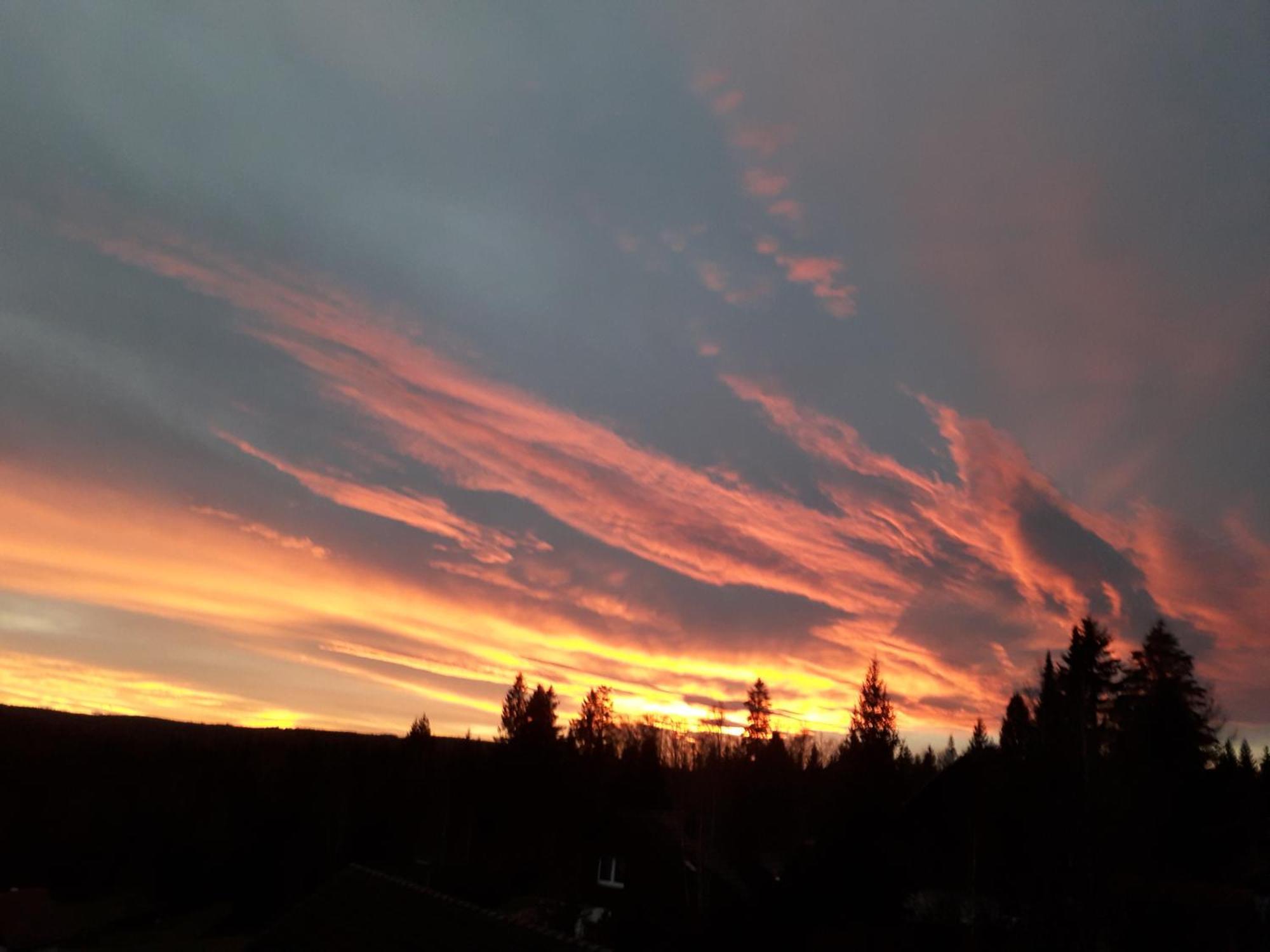Haus Finkbeiner * Kniebis